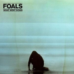 Foals - What Went Down  CD